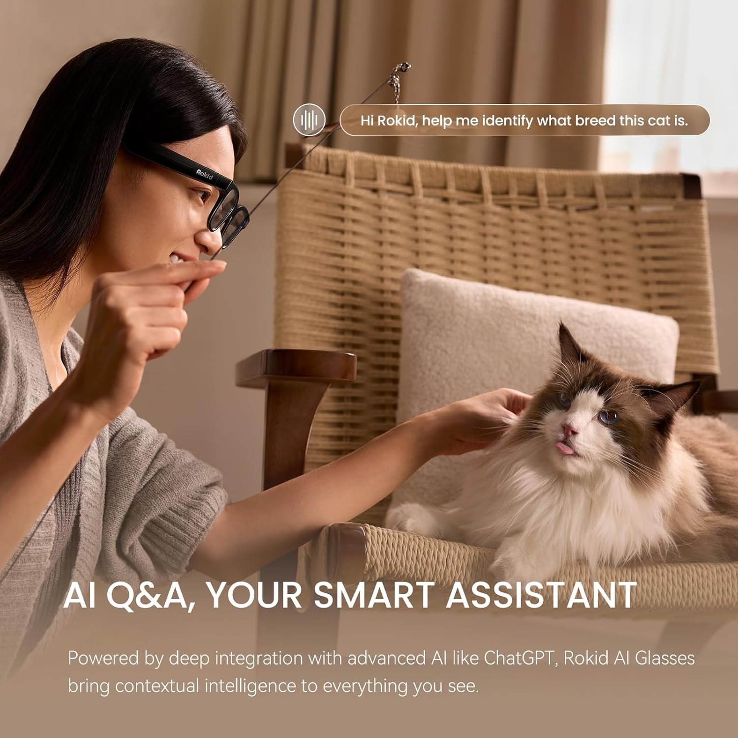Rokid Ai Glasses Style (Non-Display),