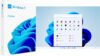 Microsoft Windows 11 (USB)